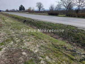 Futog-Veliki Plac 11863 m2 na Glavnom Magistralnom putu za Bačku Palanku-065/385 8880