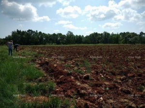 Poljoprivredno zemljište