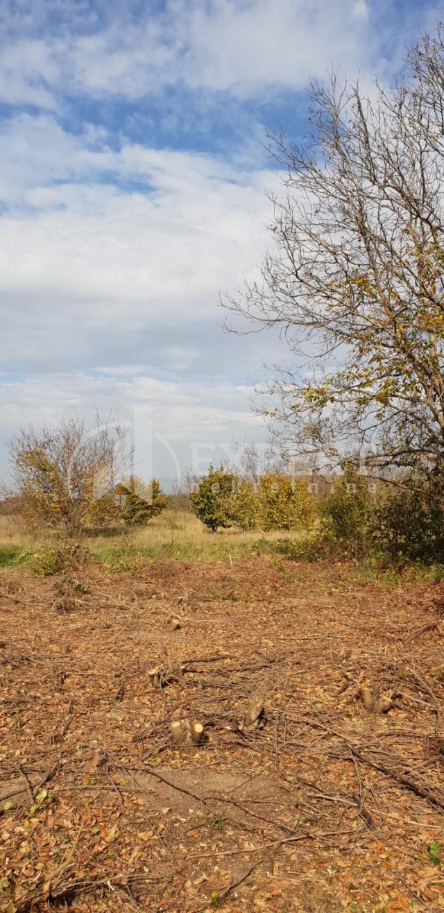 Lepa porodična kuća 73 m2, plac 30 ari, Tešica