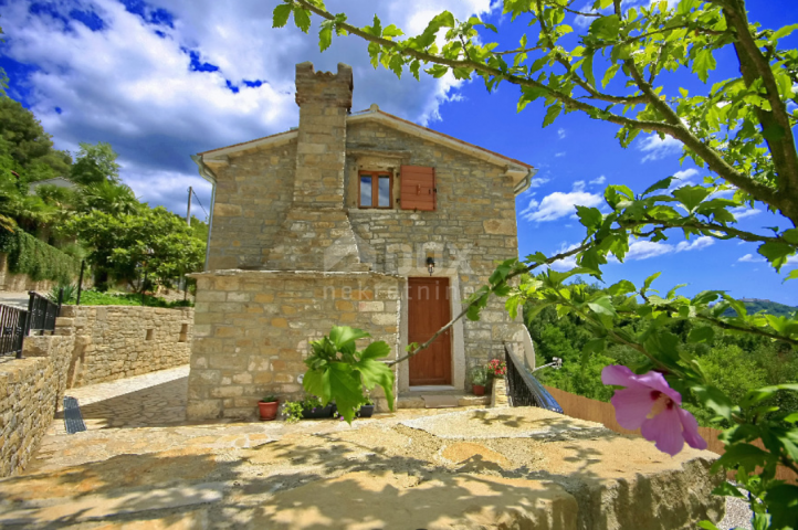 ISTRA, OPRTALJ - Istarska autohtona kuća s panoramskim pogledom