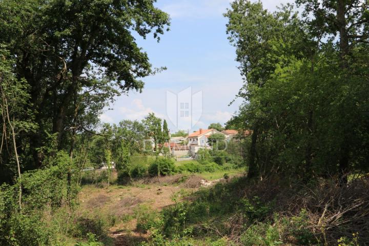 Grundstück Žminj, 5.800m2