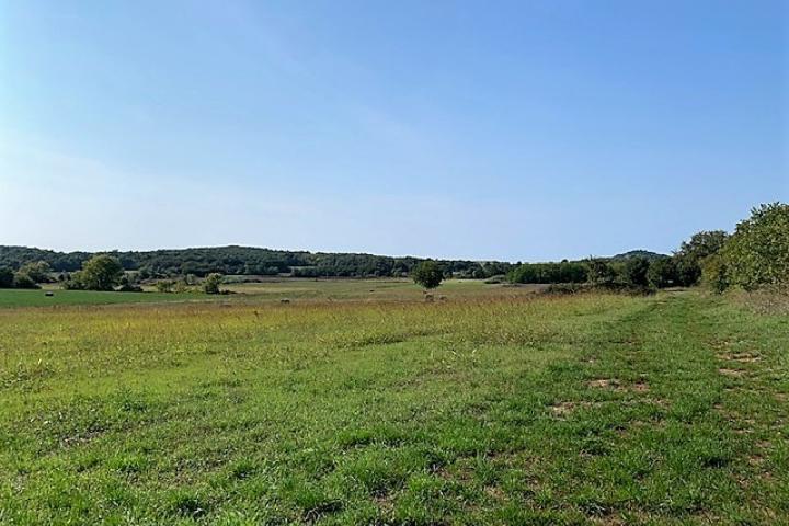 Istra, Poreč okolica poljoprivredno gospodarsko zemljište 1021 m2, Mugeba