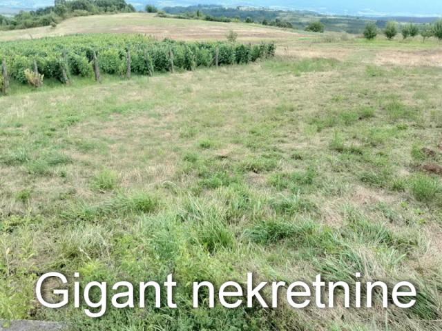 Prodaja zemljišta u okolini Rtnja-Vrmdza