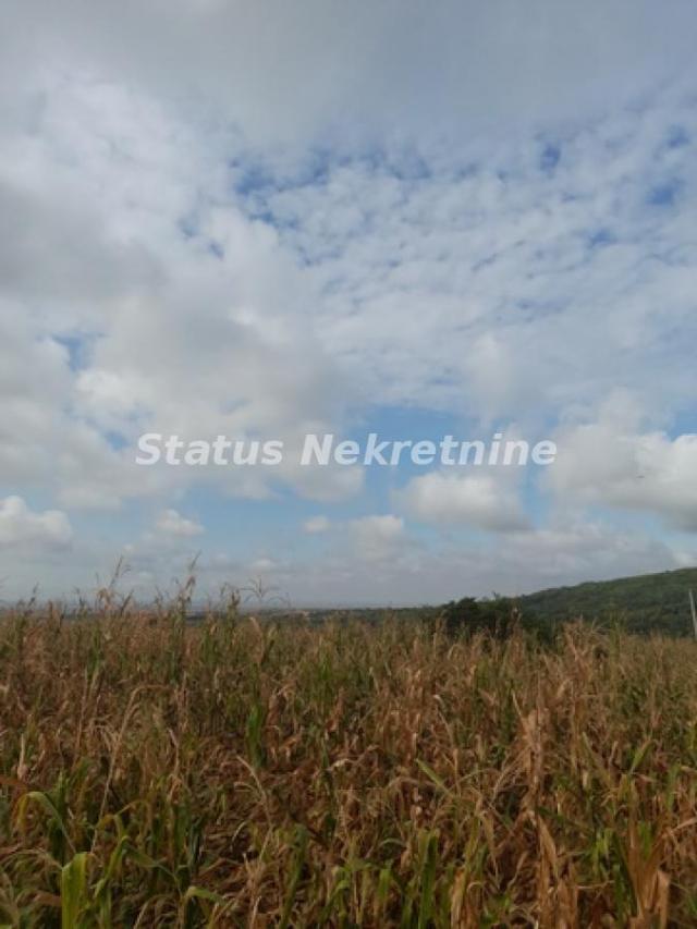 Vrdnik-Jazak-Velika Parcela 10800 m2 za kupce sa Posebnim stilom života sa Pogledom na pola Srema-06