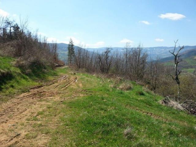 Izdaje se polj. gazdinstvo, 9. 61, 17 ha, Orovac, Seljašnica, Prijepolje