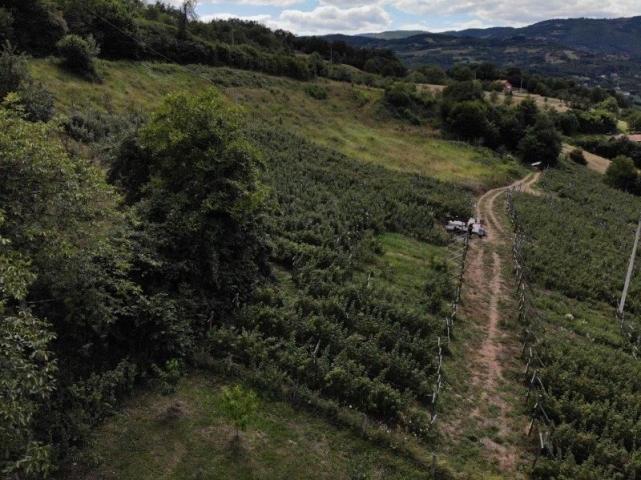 Prodaje se poljoprivredno zemljište, 6907 m2, Staro-Velika Župa, Prijepolje