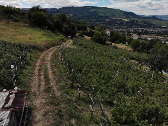 Prodaje se poljoprivredno zemljište, 6907 m2, Staro-Velika Župa, Prijepolje