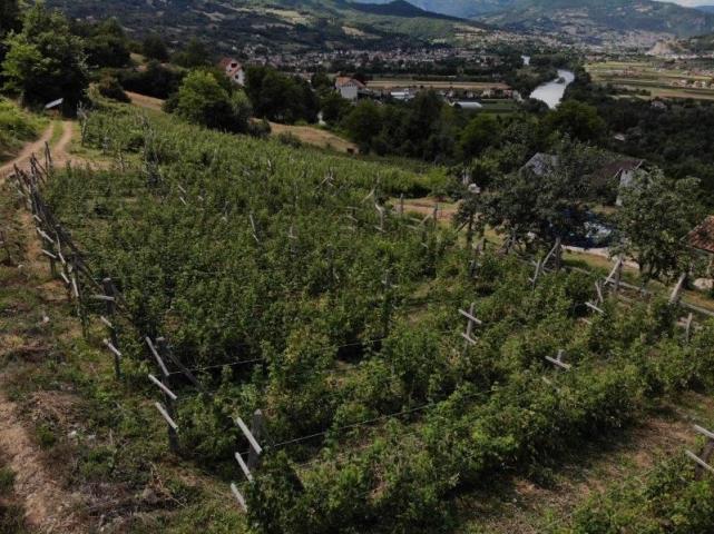 Prodaje se poljoprivredno zemljište, 6907 m2, Staro-Velika Župa, Prijepolje