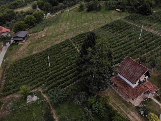 Prodaje se poljoprivredno zemljište, 6907 m2, Staro-Velika Župa, Prijepolje