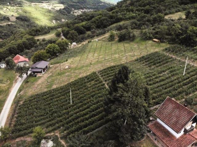 Prodaje se poljoprivredno zemljište, 6907 m2, Staro-Velika Župa, Prijepolje