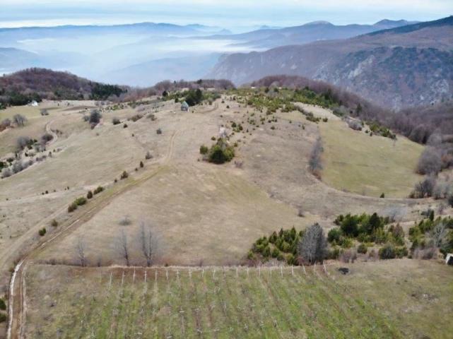 Prodaje se poljoprivredno zemljište, 6209 m2, Hisardžik, Prijepolje