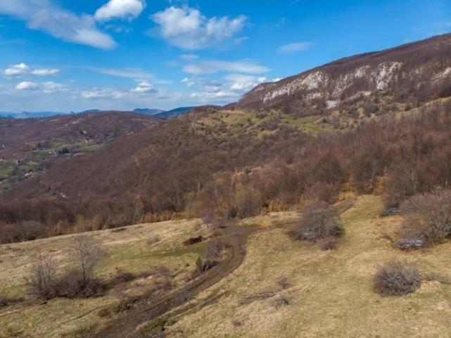 Prodaje se poljoprivredno i šumsko zemljište, 7. 71 ha, Sopotnica, Prijepolje