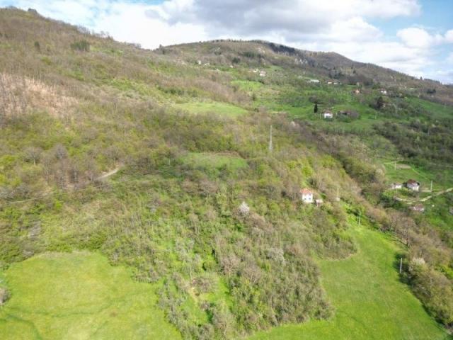 Prodaje se šumsko zemljište 11825 m2, Raišenjeva, Prijepolje