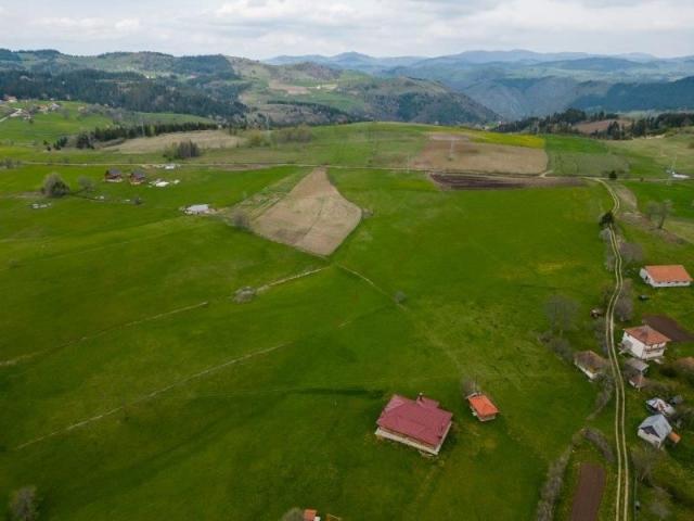 Prodaje se poljoprivredno zemljište  3786 m2, Komarani, Nova Varoš