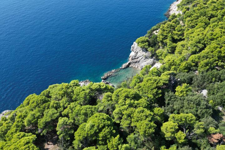 Dubrovnik - okolica, kuća 80 m od mora