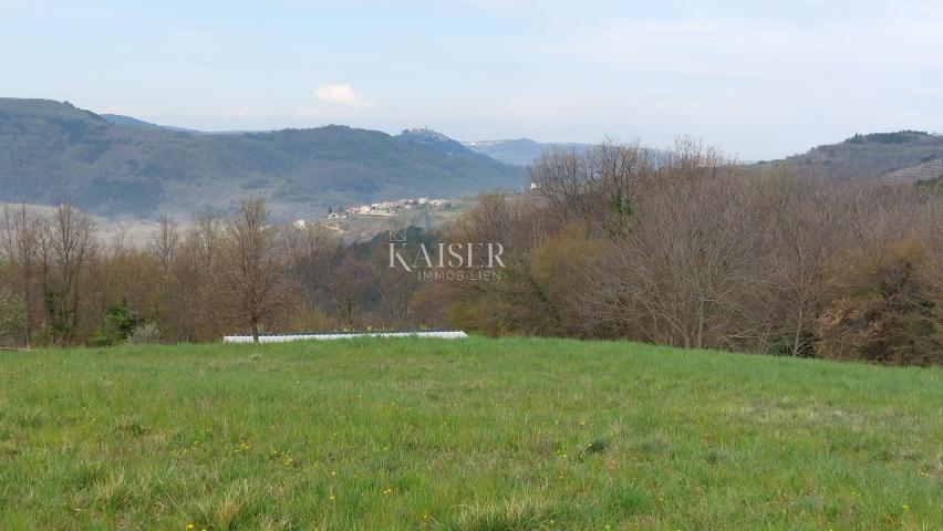 Istra, Motovun-poljoprivredno zemljište s pogledom na Motovun