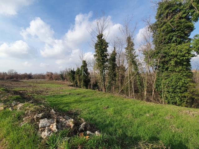 Istrien - Višnjan, Grundstück neben einem Olivenhain
