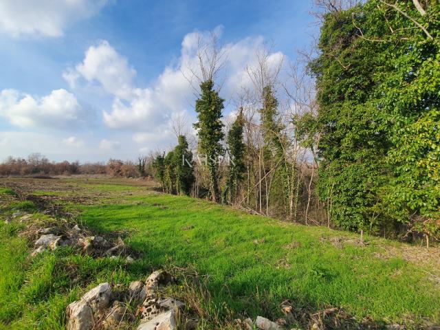 Istrien - Višnjan, Grundstück neben einem Olivenhain