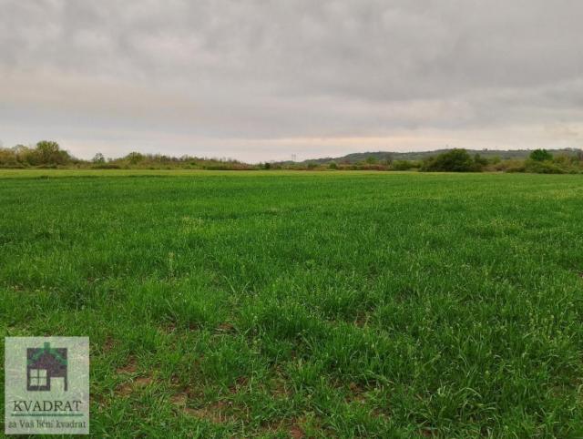 Poljoprivredno zemljište 2, 72 ha, Obrenovac, Veliko Polje –  27 200 €