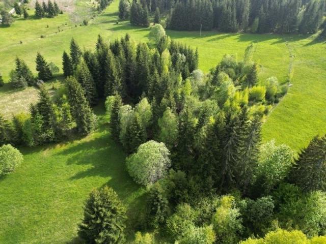 Prodaje se poljoprivredno zemljište 4625 m2, Jabuka, Prijepolje 