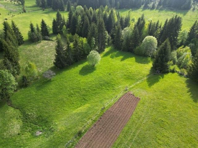 Prodaje se poljoprivredno zemljište 4625 m2, Jabuka, Prijepolje 