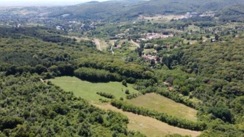 Građevinsko Zemljište Vrdnik Vikend Naselje 7769m2 529015