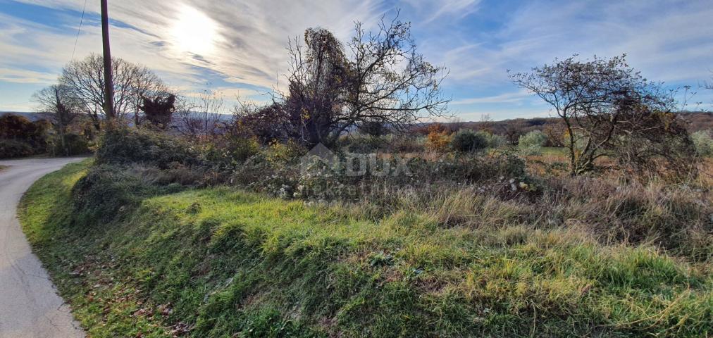 ISTRIA, BARBAN - Land with valid building permits for the construction of 4 houses with swimming poo