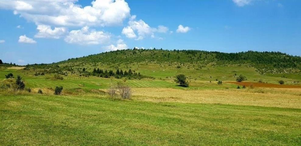 Prodaje se polj. zemljište  1. 76, 63 ha, Jabuka, Prijepolje