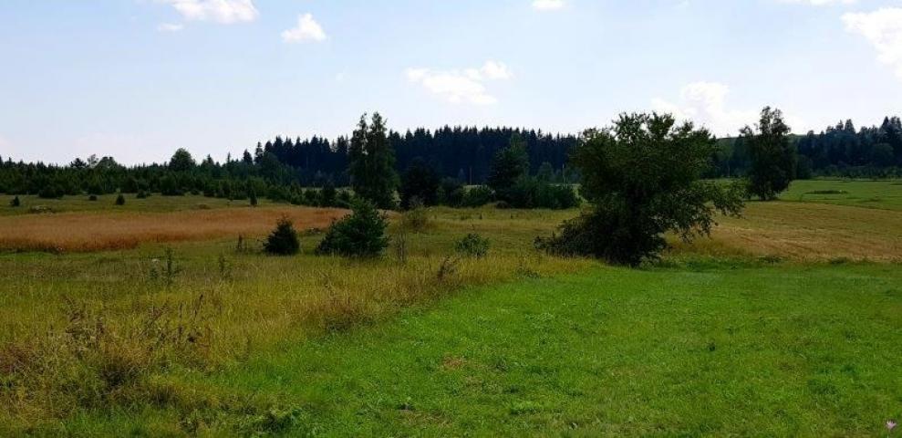 Prodaje se polj. zemljište  1. 76, 63 ha, Jabuka, Prijepolje