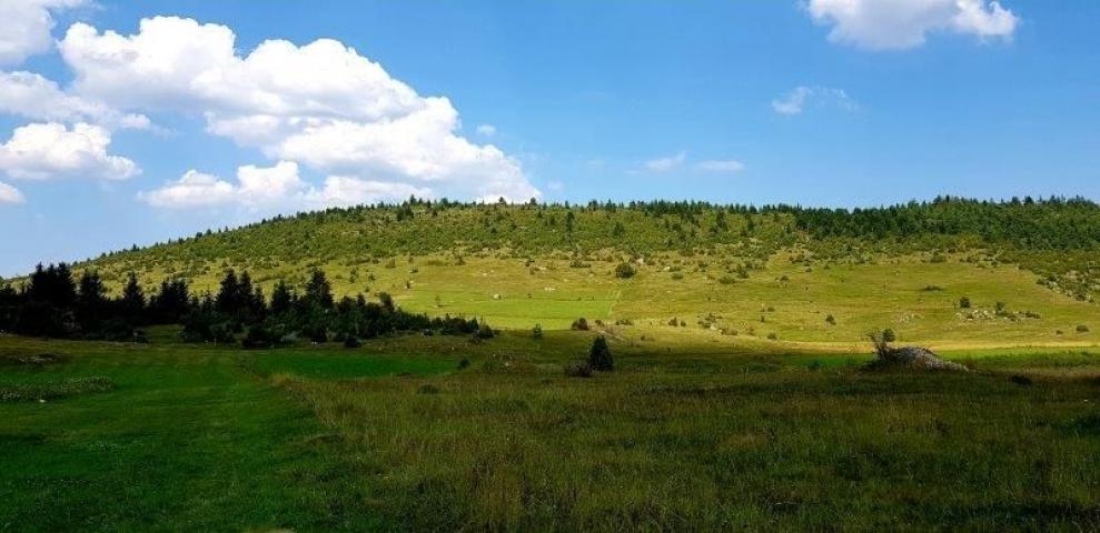 Prodaje se polj. zemljište  1. 76, 63 ha, Jabuka, Prijepolje