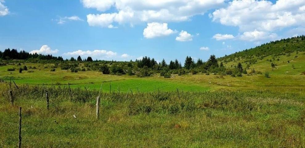Prodaje se polj. zemljište  1. 76, 63 ha, Jabuka, Prijepolje