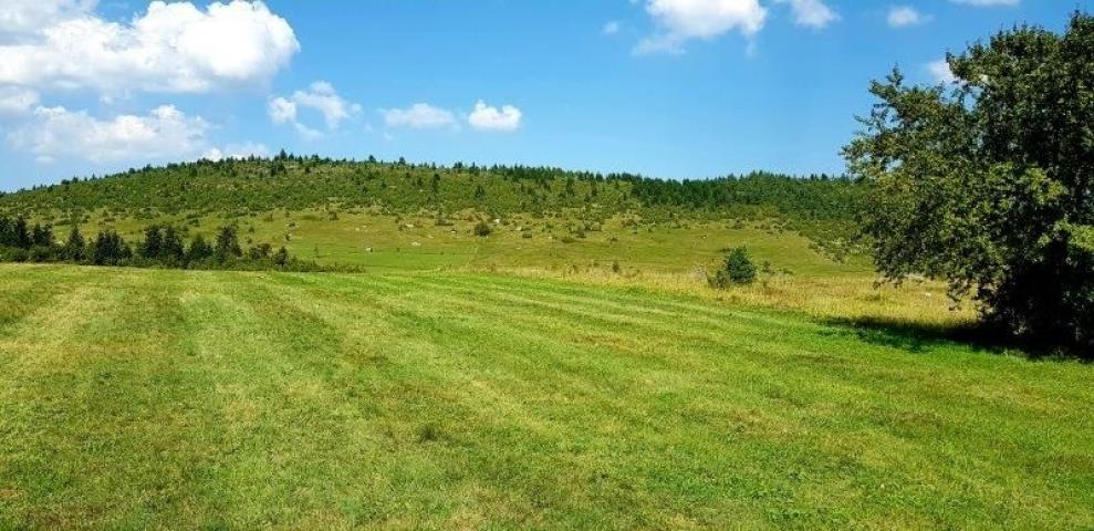 Prodaje se polj. zemljište  1. 76, 63 ha, Jabuka, Prijepolje