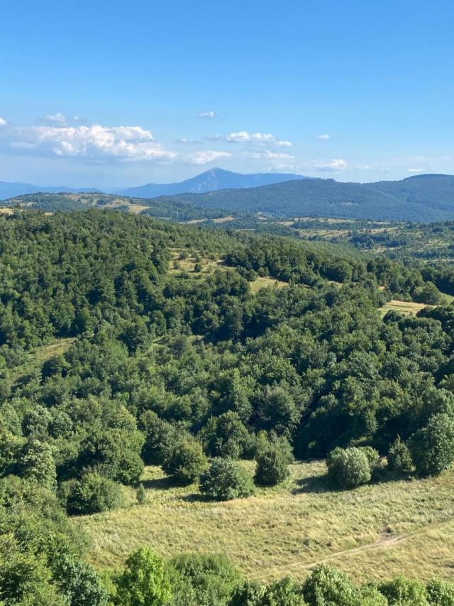 Juzni Kucaj-Kucajske planine-Brezovica  -Zemljiste 12999m2 sa ucrtanim objektom 18m2