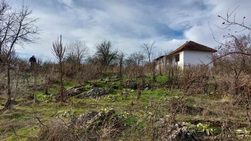 Boljevac, Rtanj – Mali izvor 30kvm + 1ha 14a 62kvm ID#23594