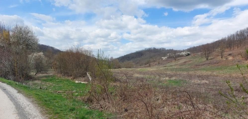 Boljevac, Rtanj – Dobro polje 5ha 72a 77kvm ID#24710