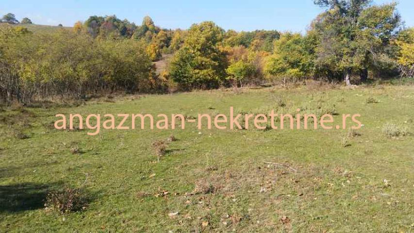 Rtanj, Lukovo – Golemo polje 3ha 82a 29kvm ID#19902