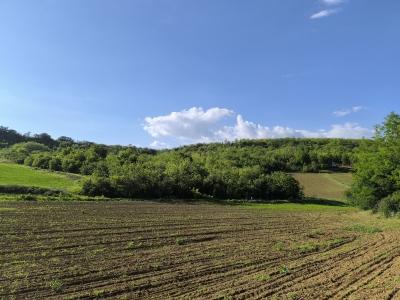 Zemljište-šuma 7500m2 u Bukovcu