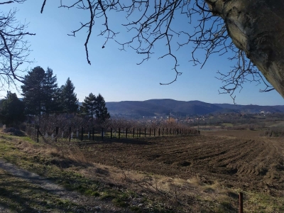 ZEMLJIŠTE U VRDNIKU, POTES LAGUM 25 ARI DOZVOLJENA GRADNJA