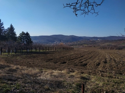 ZEMLJIŠTE U VRDNIKU, POTES LAGUM 25 ARI DOZVOLJENA GRADNJA