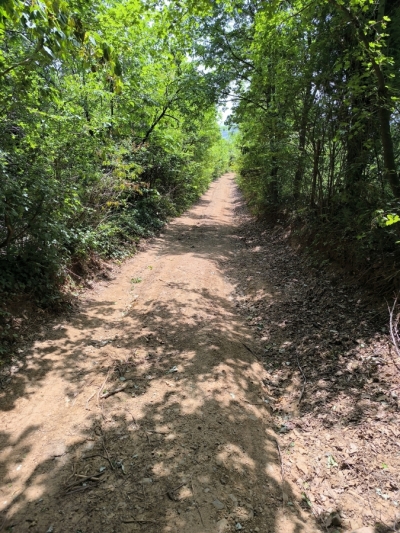 Građevinski plac 9000m2 kod Starog Hopova