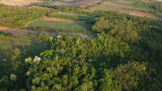 Građevinski plac 9000m2 kod Starog Hopova