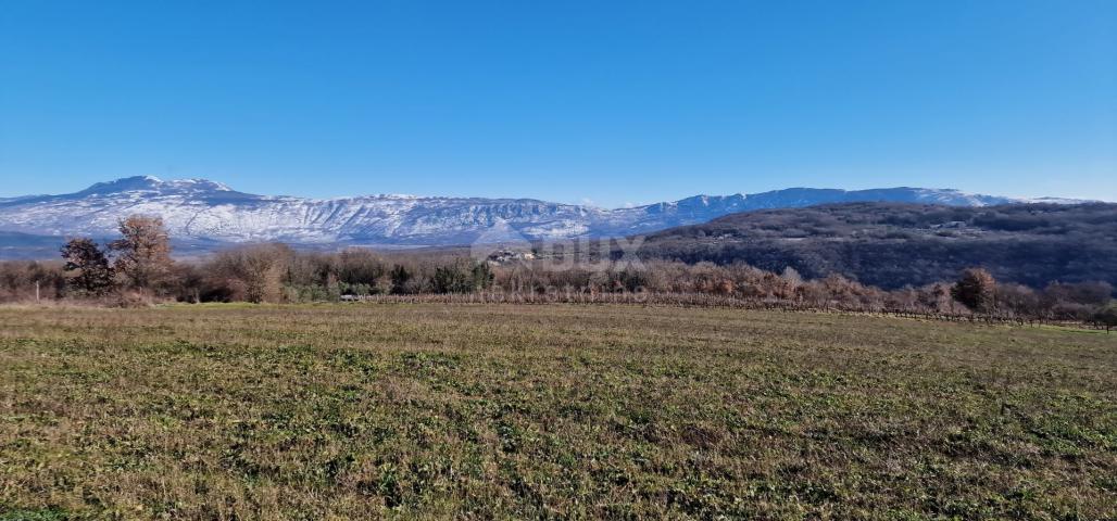 Istrien, Labin, Pićan – Völlige Abgeschiedenheit und eine wunderschöne Aussicht!! Bauland 750 m2 und