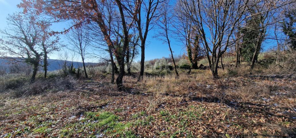 Istrien, Labin, Pićan – Völlige Abgeschiedenheit und eine wunderschöne Aussicht!! Bauland 750 m2 und