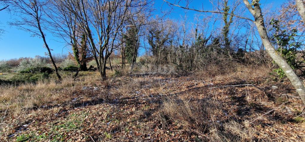 Istrien, Labin, Pićan – Völlige Abgeschiedenheit und eine wunderschöne Aussicht!! Bauland 750 m2 und