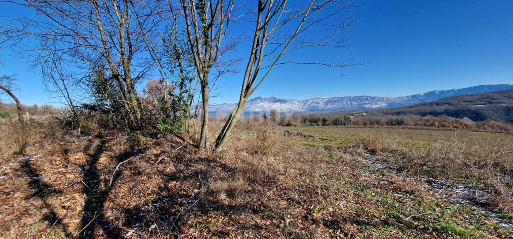 Istrien, Labin, Pićan – Völlige Abgeschiedenheit und eine wunderschöne Aussicht!! Bauland 750 m2 und