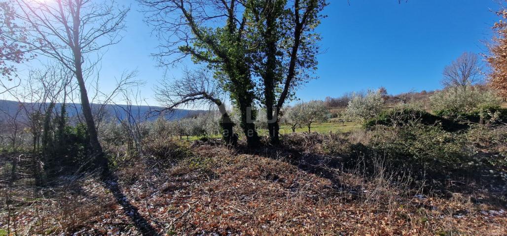 Istrien, Labin, Pićan – Völlige Abgeschiedenheit und eine wunderschöne Aussicht!! Bauland 750 m2 und