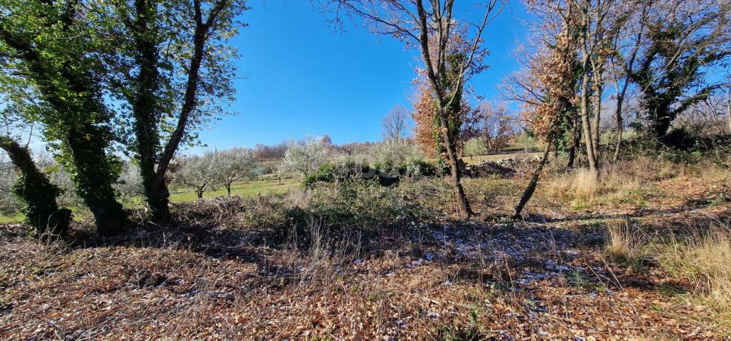 Istria, Labin, Pićan - Complete seclusion and a beautiful view!! Building land 750 m2 and agricultur