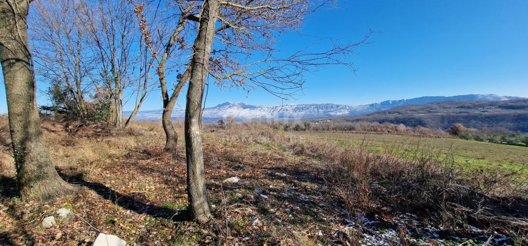 Istrien, Labin, Pićan – Völlige Abgeschiedenheit und eine wunderschöne Aussicht!! Bauland 750 m2 und