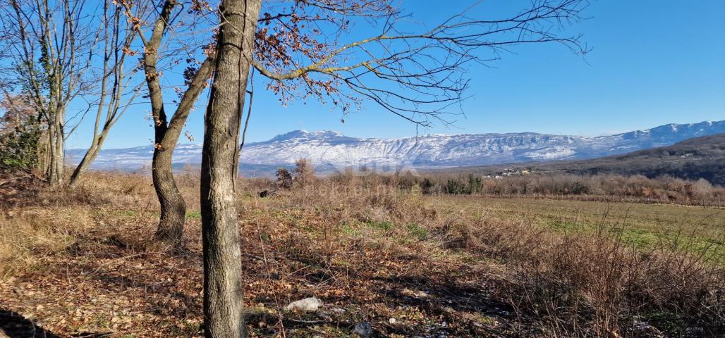 Istrien, Labin, Pićan – Völlige Abgeschiedenheit und eine wunderschöne Aussicht!! Bauland 750 m2 und