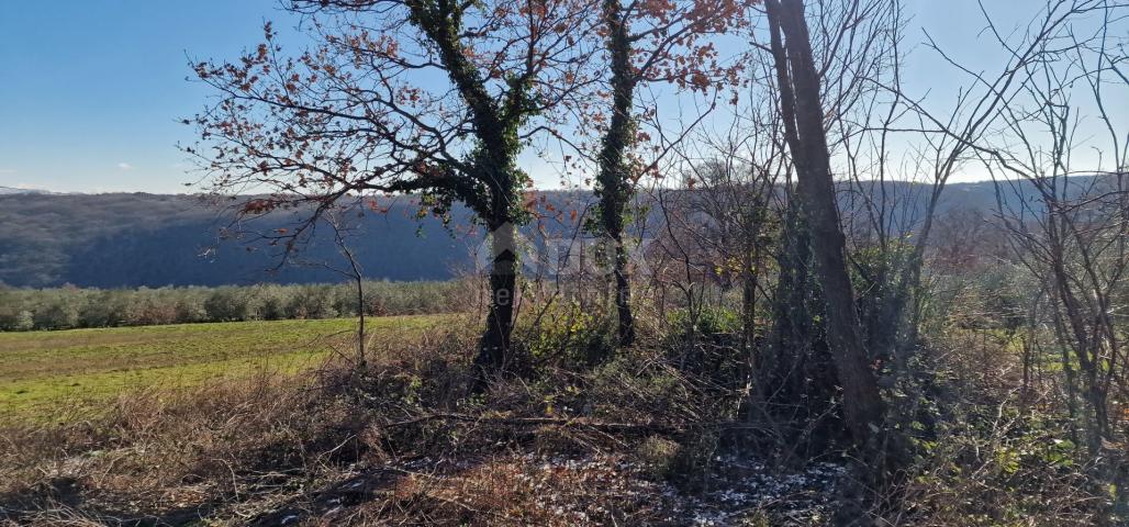 Istria, Labin, Pićan - Complete seclusion and a beautiful view!! Building land 750 m2 and agricultur